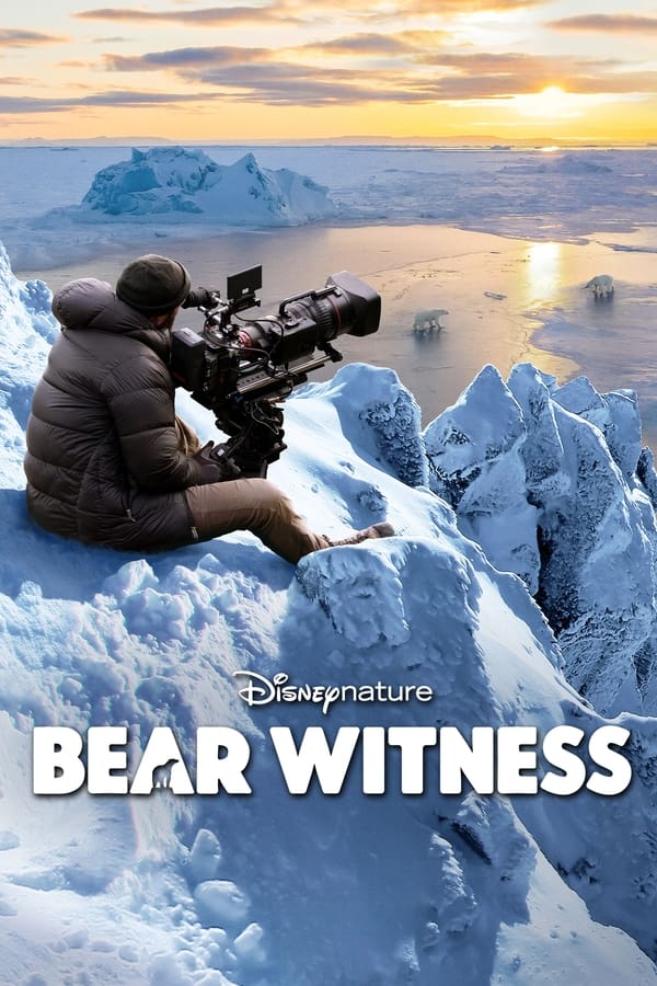 EN: Bear Witness (2022)